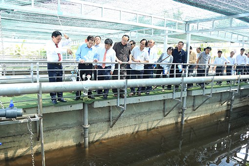 Khánh thành Nhà máy xử lý nước thải bằng phương pháp vi sinh đầu tiên trên cả nước tại tỉnh Bình Dương (Thời sự trưa 26/1/2019)